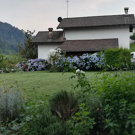 Oltra 3*